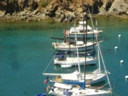 Catalina2005 037.jpg: 2005/07/24 - Greg's Catalina Pics - 2005